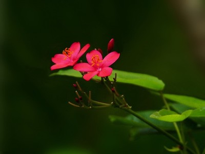 6080电影电视剧免费观看