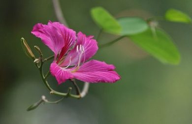 911完整版高清