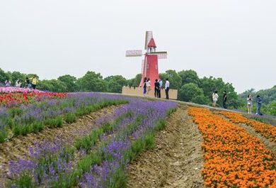 《黄石 第六季》迅雷下载