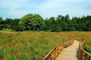 丁月五香天线在线视频