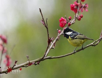 三门衣柜门怎么安装视频