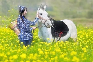 后花园的雏菊开花视频