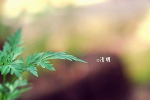 大胸美女被袭胸动漫