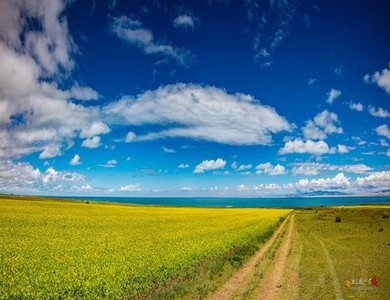 女手浮教程视频免费网页