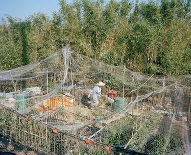 宝宝你里面好暖好会夹gl