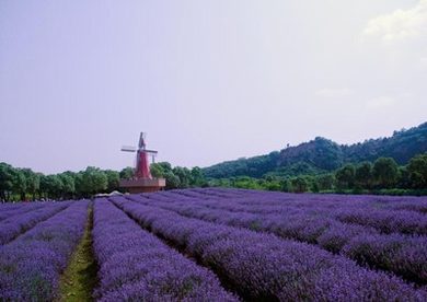 怎么挽回即将离婚的婚姻