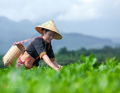 昨日守身如玉唤作黄花闺女